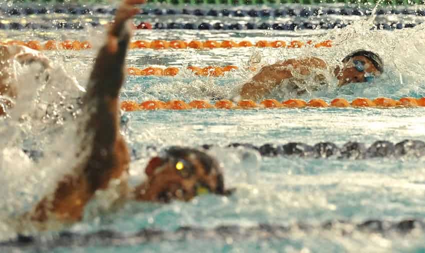 arena swim bags australia