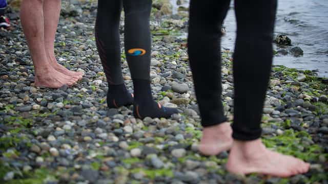 blueseventy thermal swim socks