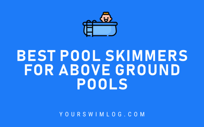 7 Best Pool Skimmers for Swimming Pools – YourSwimLog.com