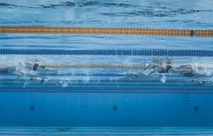 Post-Swim Reflection - The Key to Improving Faster Than Ever